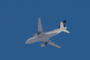 Lufthansa - Airbus A319-100, D-AILY